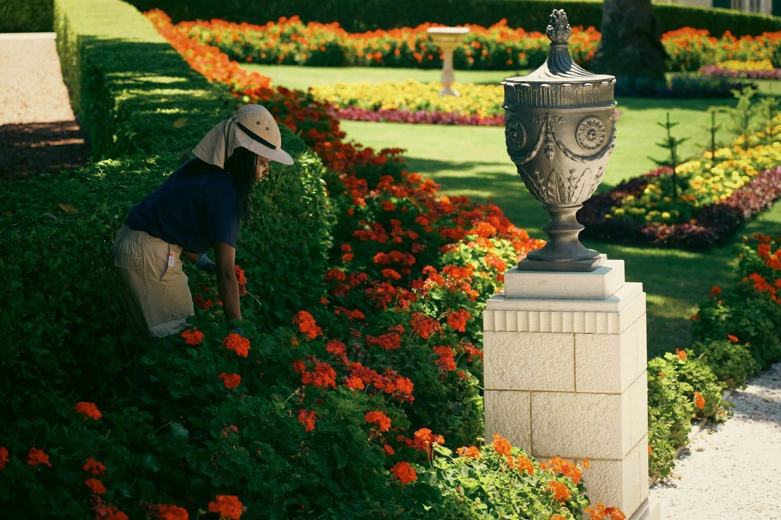 Zynzex Garden
